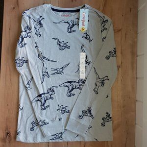 Kids Gray Dinosaur Long Sleeve T-Shirt